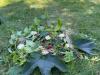 IMG-20220705-WA0004