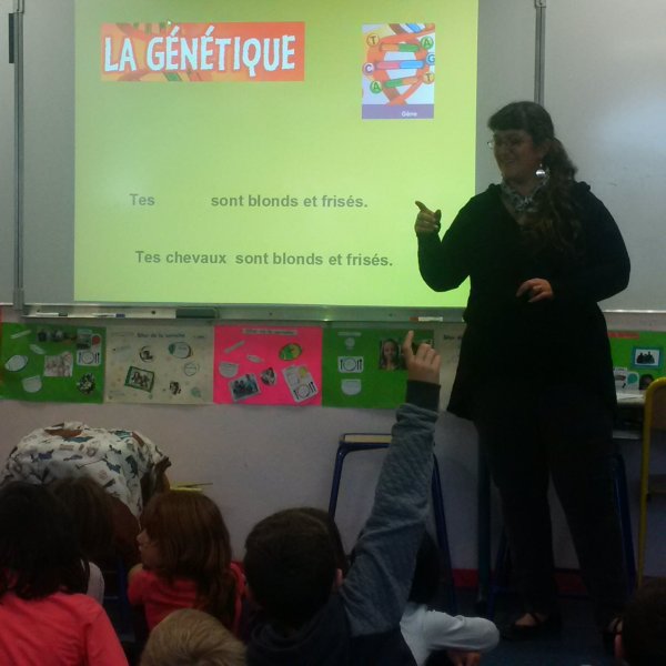 img_20151126_144413 img_20151126_144413