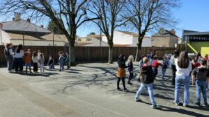 WhatsApp Image 2026-03-17 at 15.20.04