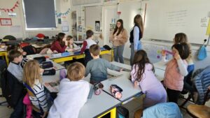 WhatsApp Image 2026-03-17 at 15.20.07 (1)