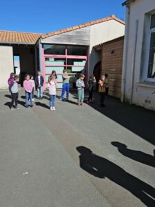 WhatsApp Image 2026-03-17 at 15.20.11 (1)